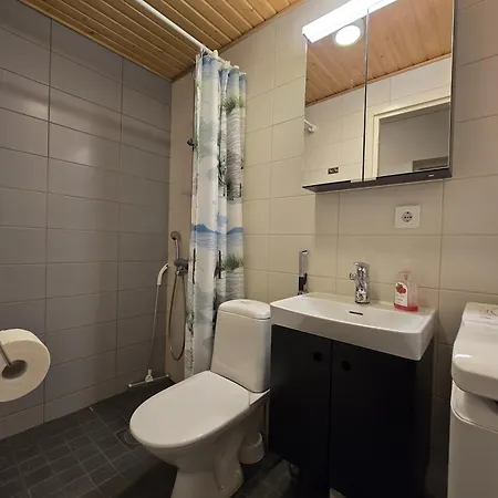 Apartment Porin Karhu, Away In Center, Free Parking Pori