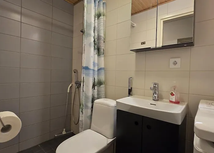 Apartamento Porin Karhu, Away In Center, Free Parking Pori