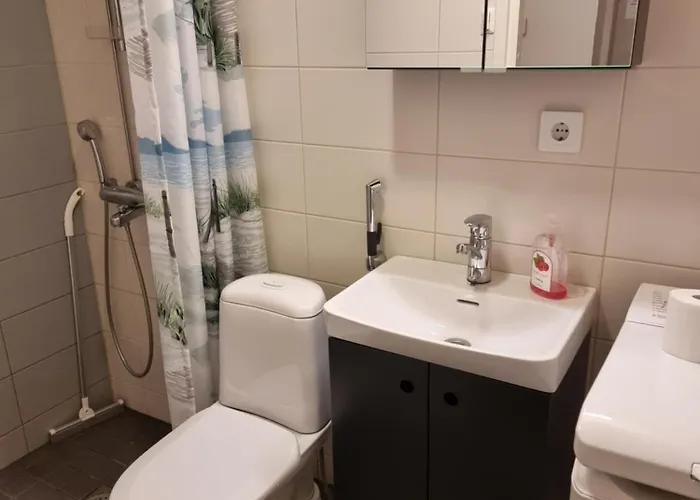 Apartment Porin Karhu, Away In Center, Free Parking